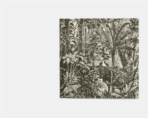 Jungle/cat